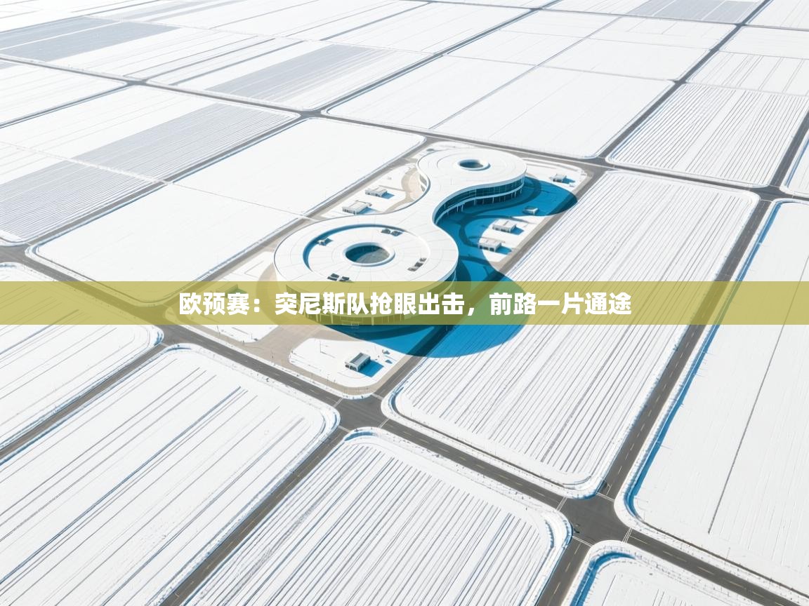 欧预赛：突尼斯队抢眼出击，前路一片通途  第1张