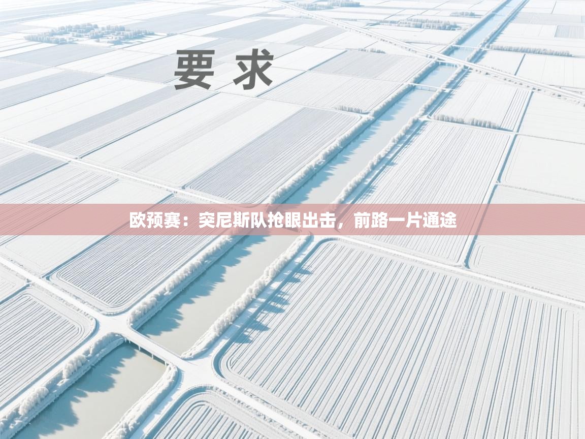 欧预赛：突尼斯队抢眼出击，前路一片通途  第2张